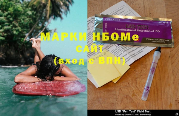 МДПВ Пересвет