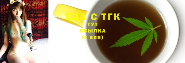 МДПВ Пересвет