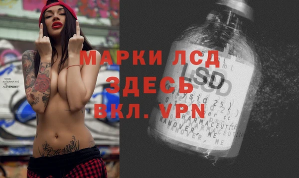 МДПВ Пересвет