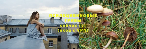 меф Воткинск