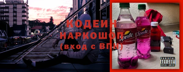 МДПВ Пересвет