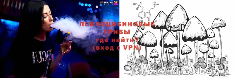 Галлюциногенные грибы Psilocybe  купить   Бодайбо 